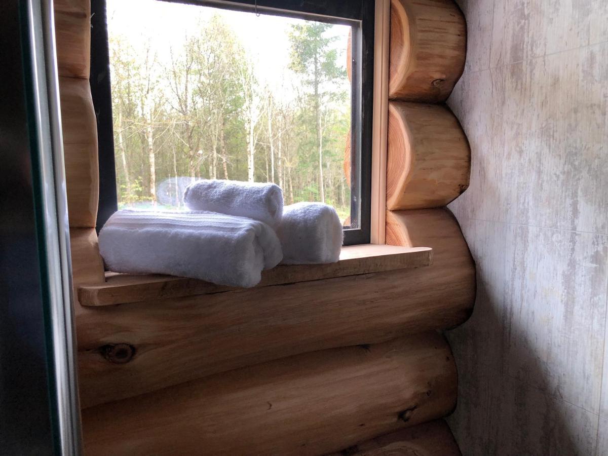 Coed Y Marchog Woodland Retreat Деревянный коттедж