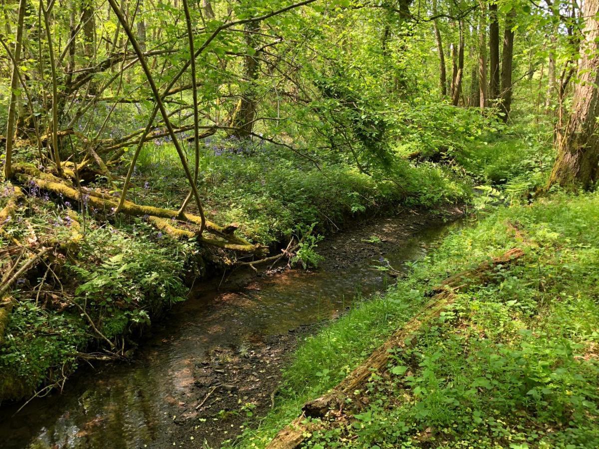 Coed Y Marchog Woodland Retreat Деревянный коттедж Херефорд